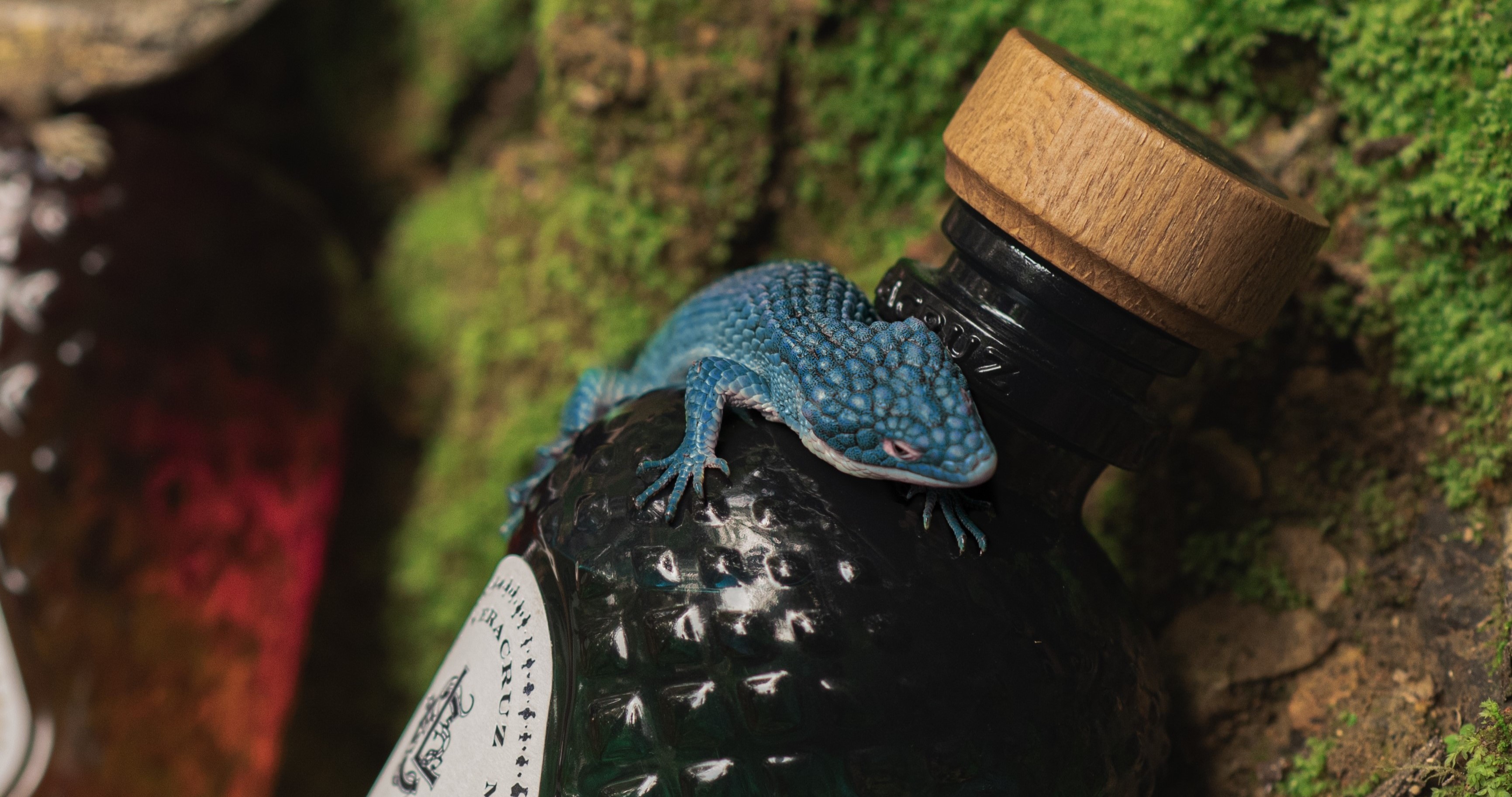 Cerveceros de México